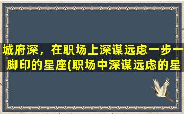 城府深，在职场上深谋远虑一步一脚印的星座(职场中深谋远虑的星座 top5，你是其中之一吗？)